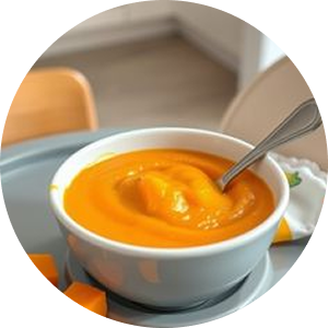 Baby Food & Puree